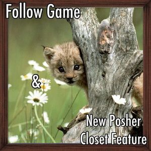 New Posher Closet Feature and Follow Game